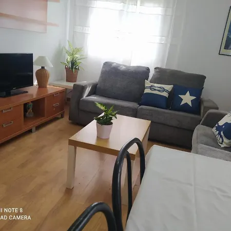 Planta Alta En Casa * سانكسينكسو