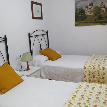 Planta Alta En Casa Саншеншо