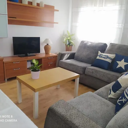 Planta Alta En Casa سانكسينكسو